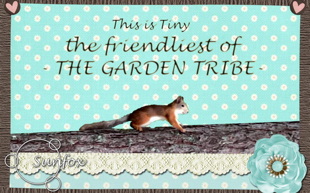 Friendliest of the garden tribe