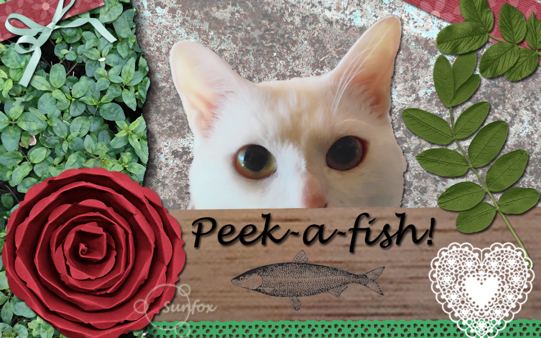 Peek-a-boo!