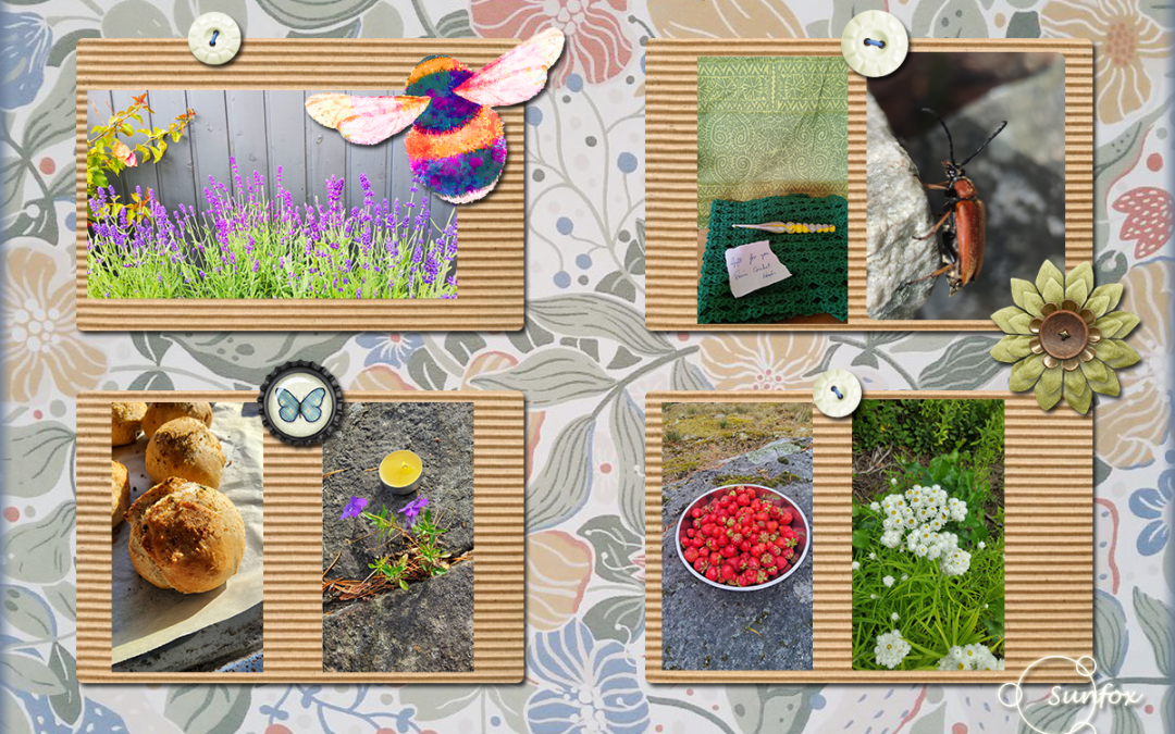 Just another summersday