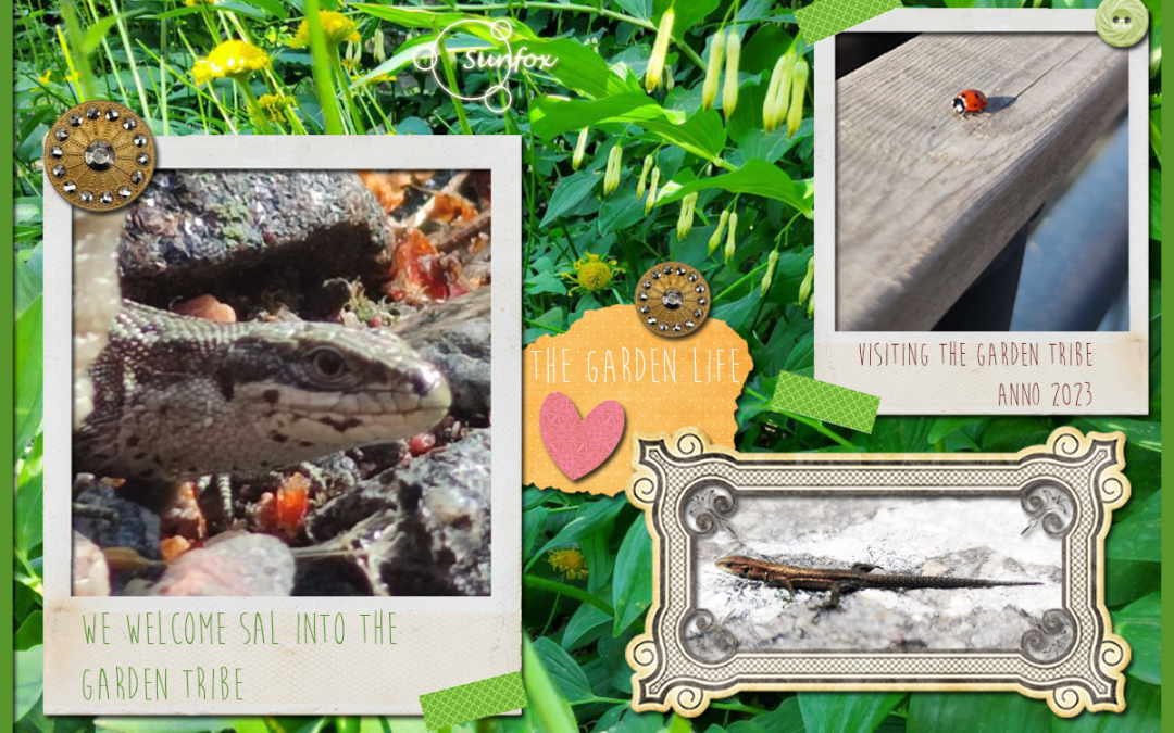 Sal of the Garden Tribe