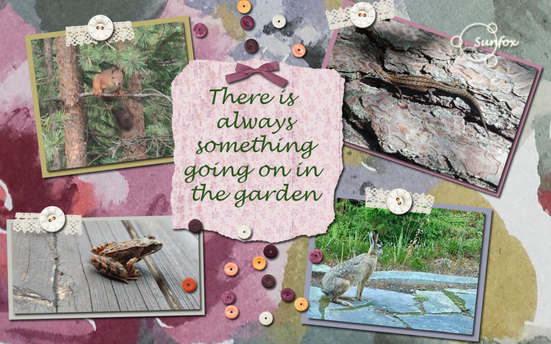 Always something going on