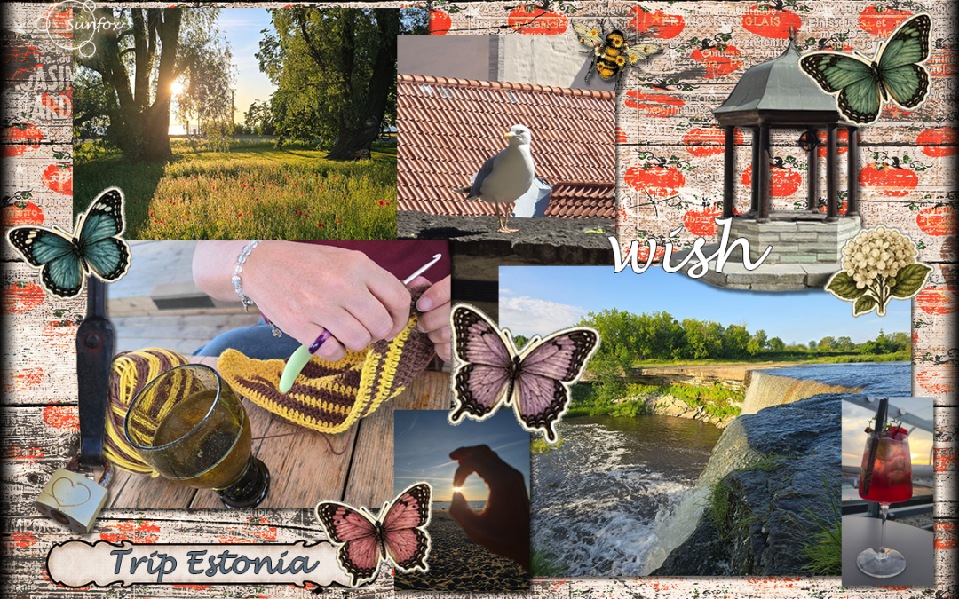 Summer Trip Estonia